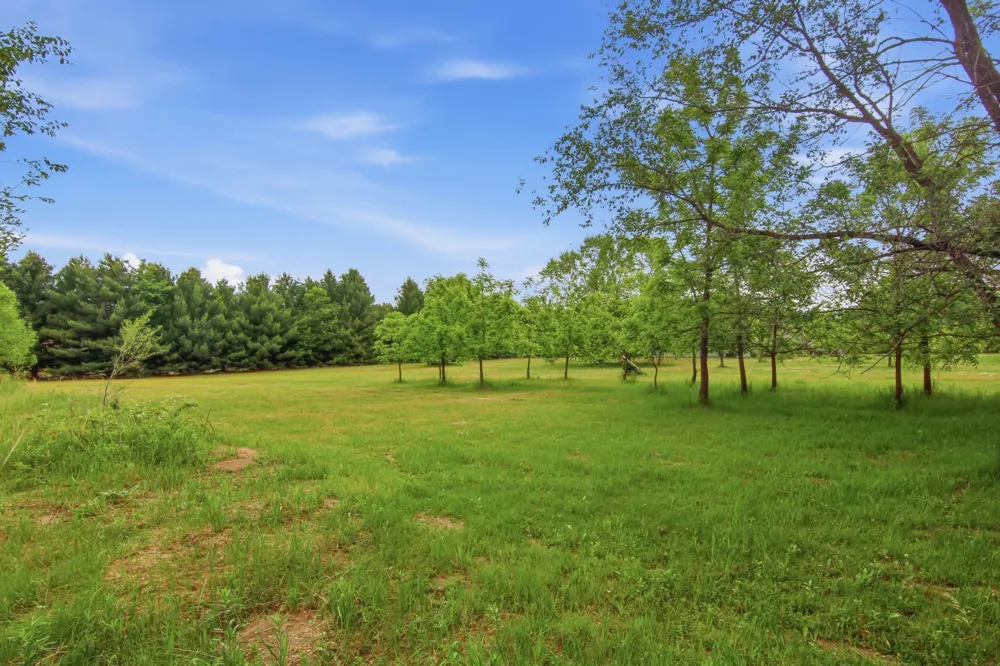 Lot 5 660th Avenue Elk Mound, WI 54739