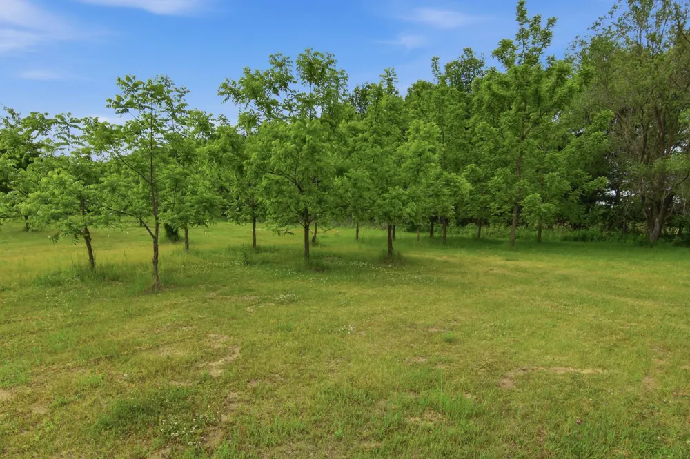 Lot 5 660th Avenue Elk Mound, WI 54739