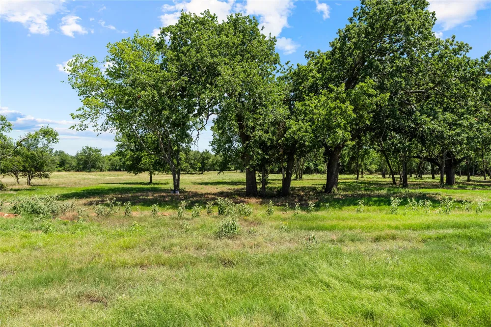 Lakewood Drive Whitney, TX 76692