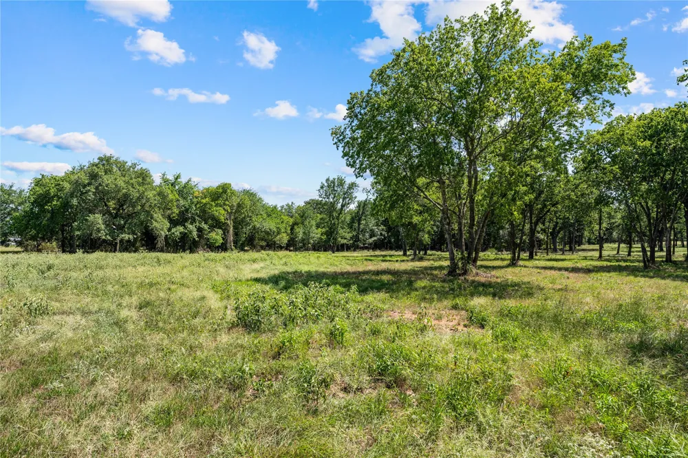 Lakewood Drive Whitney, TX 76692