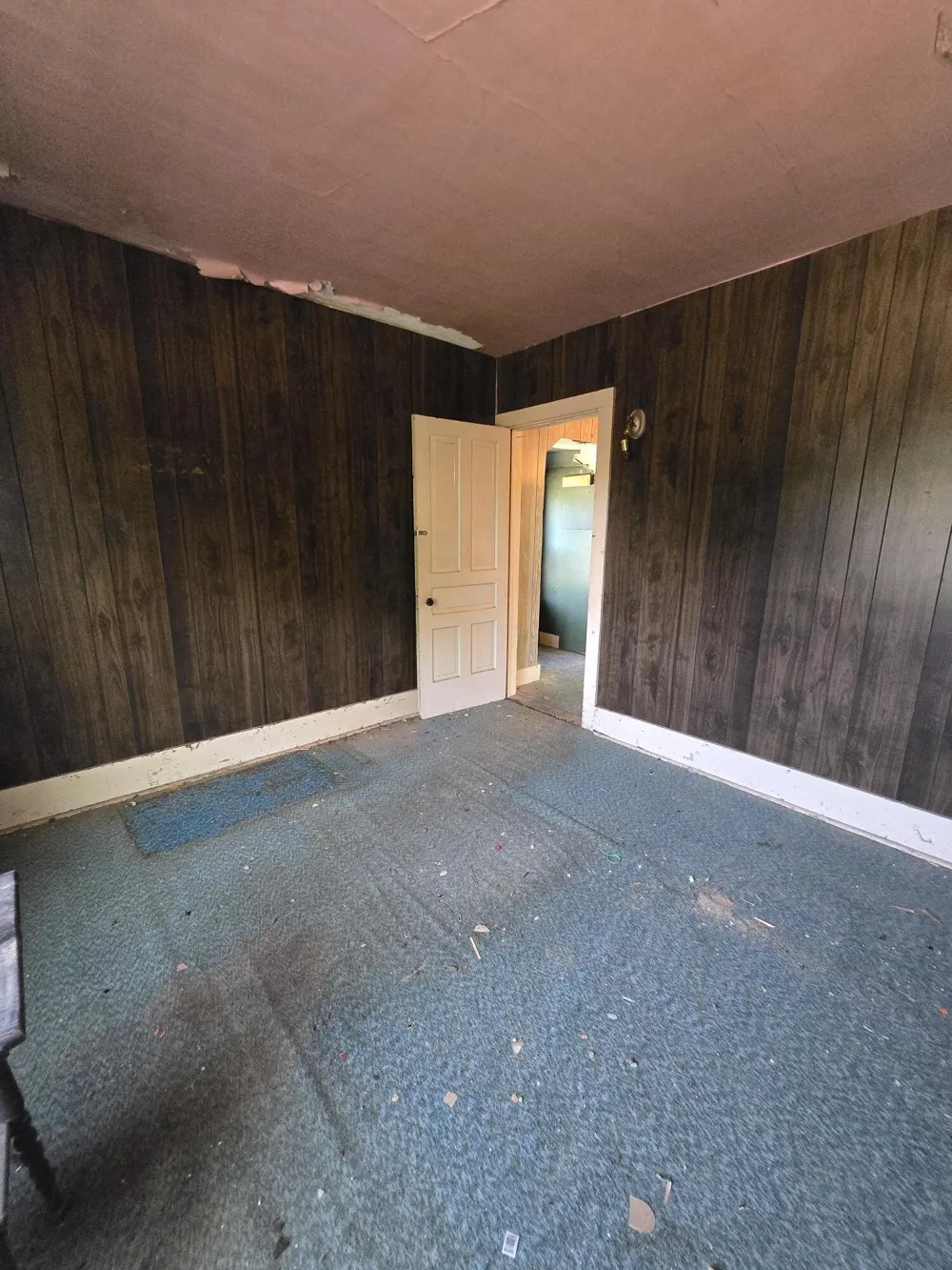 312 W 7th Henrietta Township, MI 49259