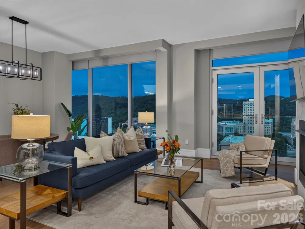 7 Patton Avenue #1104 Asheville, NC 28801