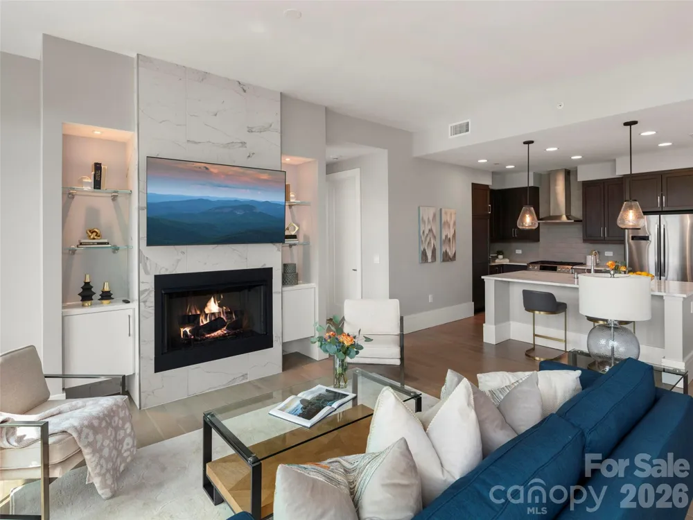 7 Patton Avenue #1104 Asheville, NC 28801
