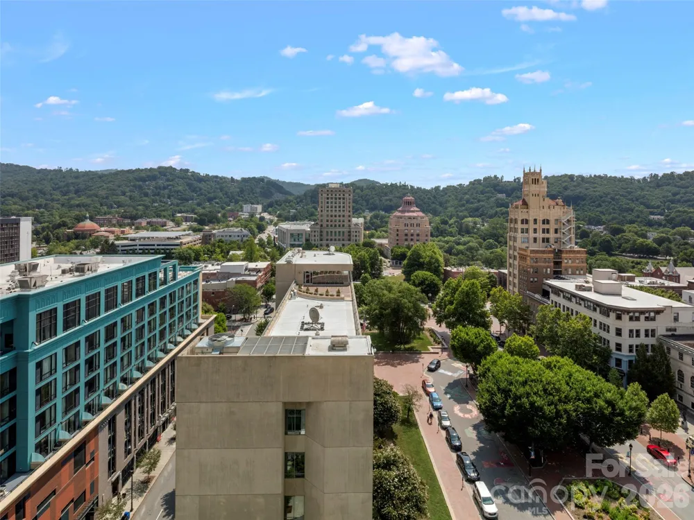 7 Patton Avenue #1104 Asheville, NC 28801