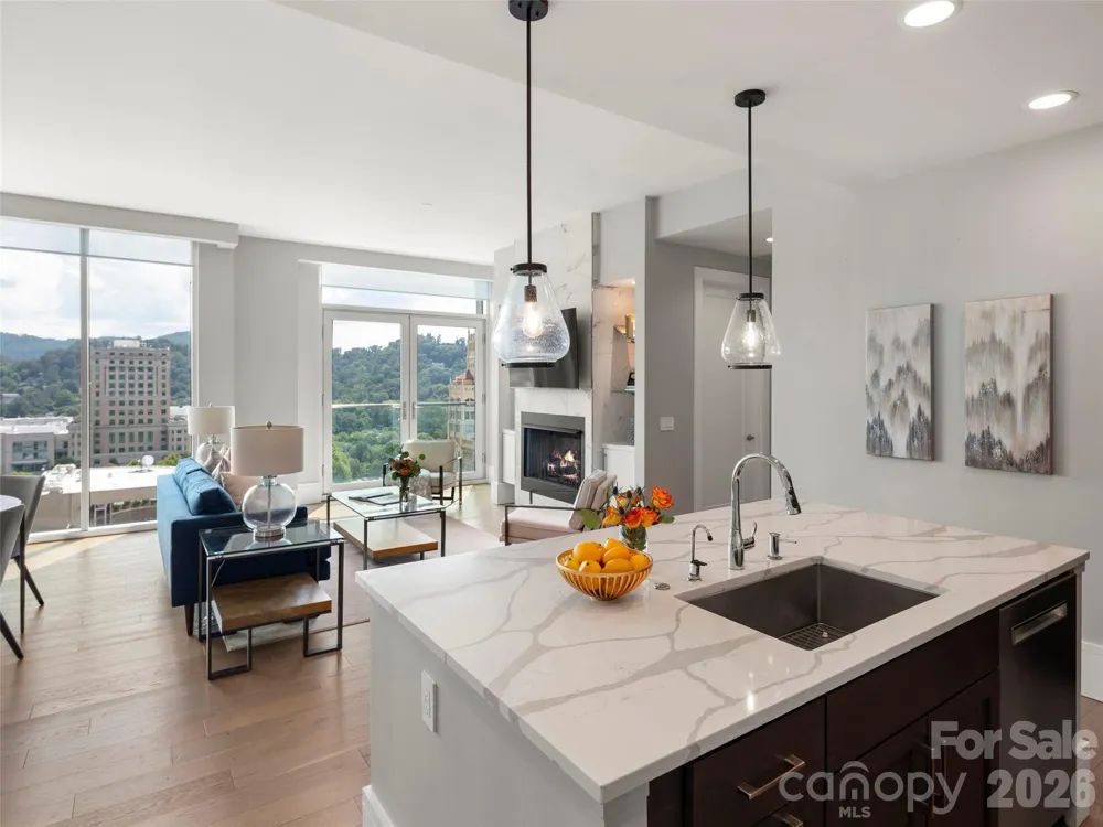 7 Patton Avenue #1104 Asheville, NC 28801