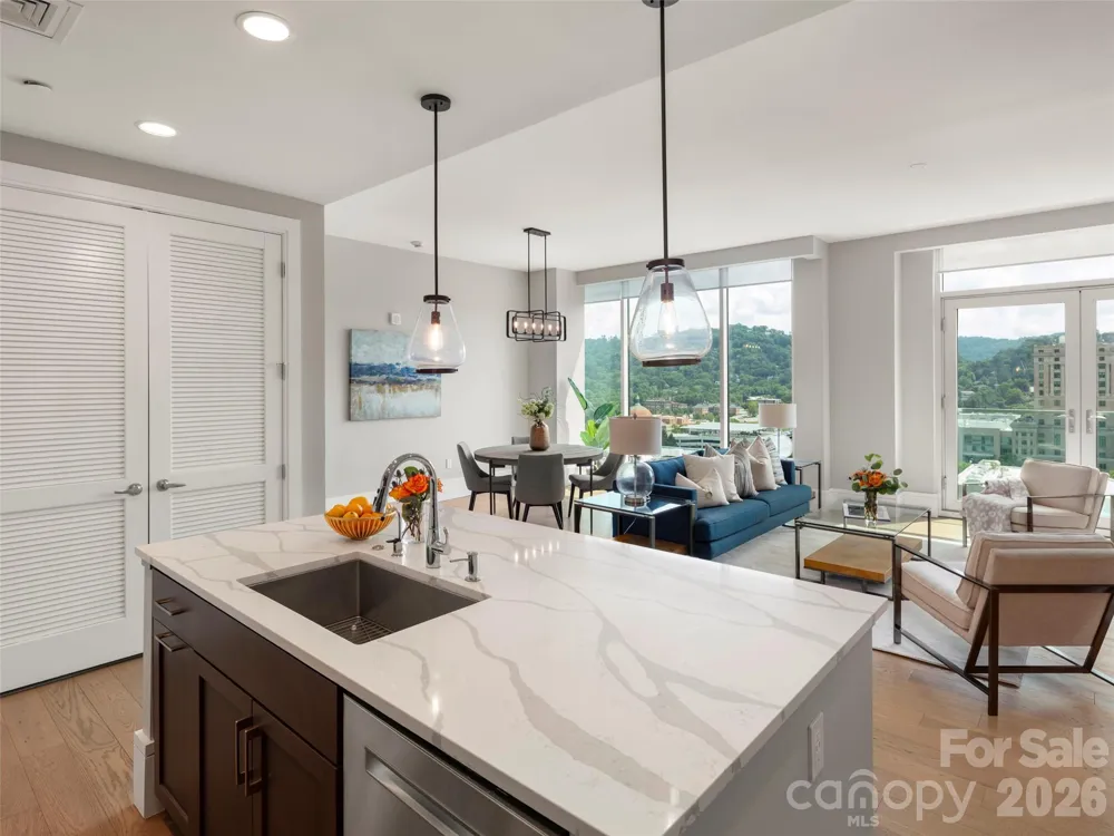 7 Patton Avenue #1104 Asheville, NC 28801