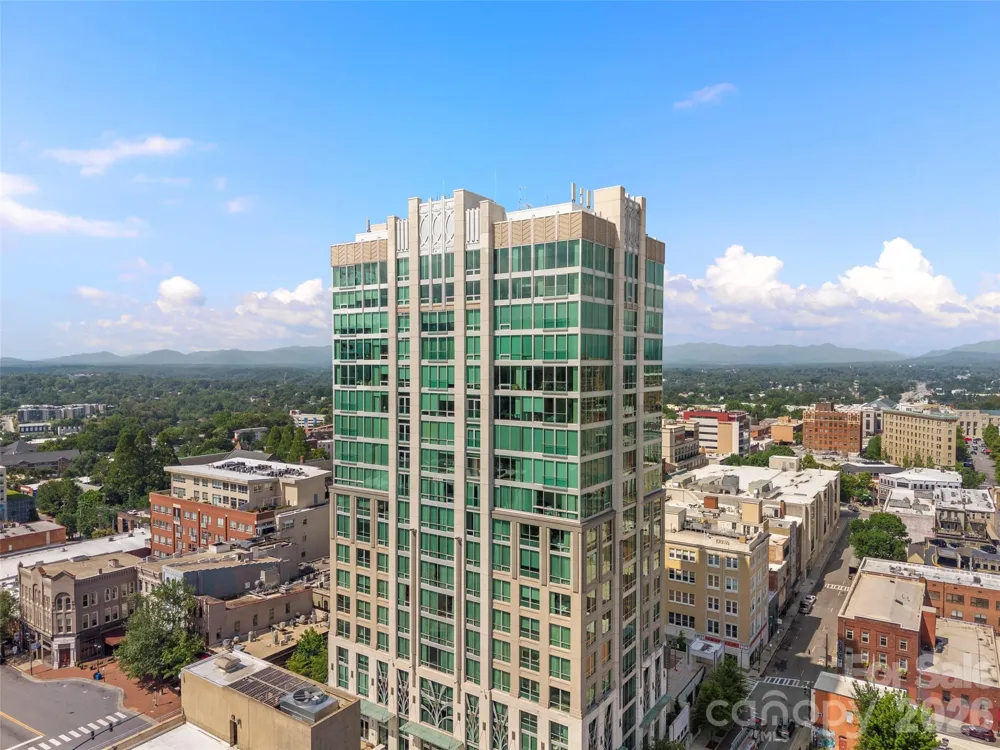 7 Patton Avenue #1104 Asheville, NC 28801