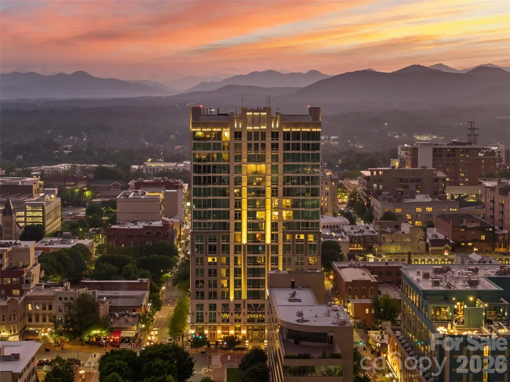 7 Patton Avenue #1104 Asheville, NC 28801
