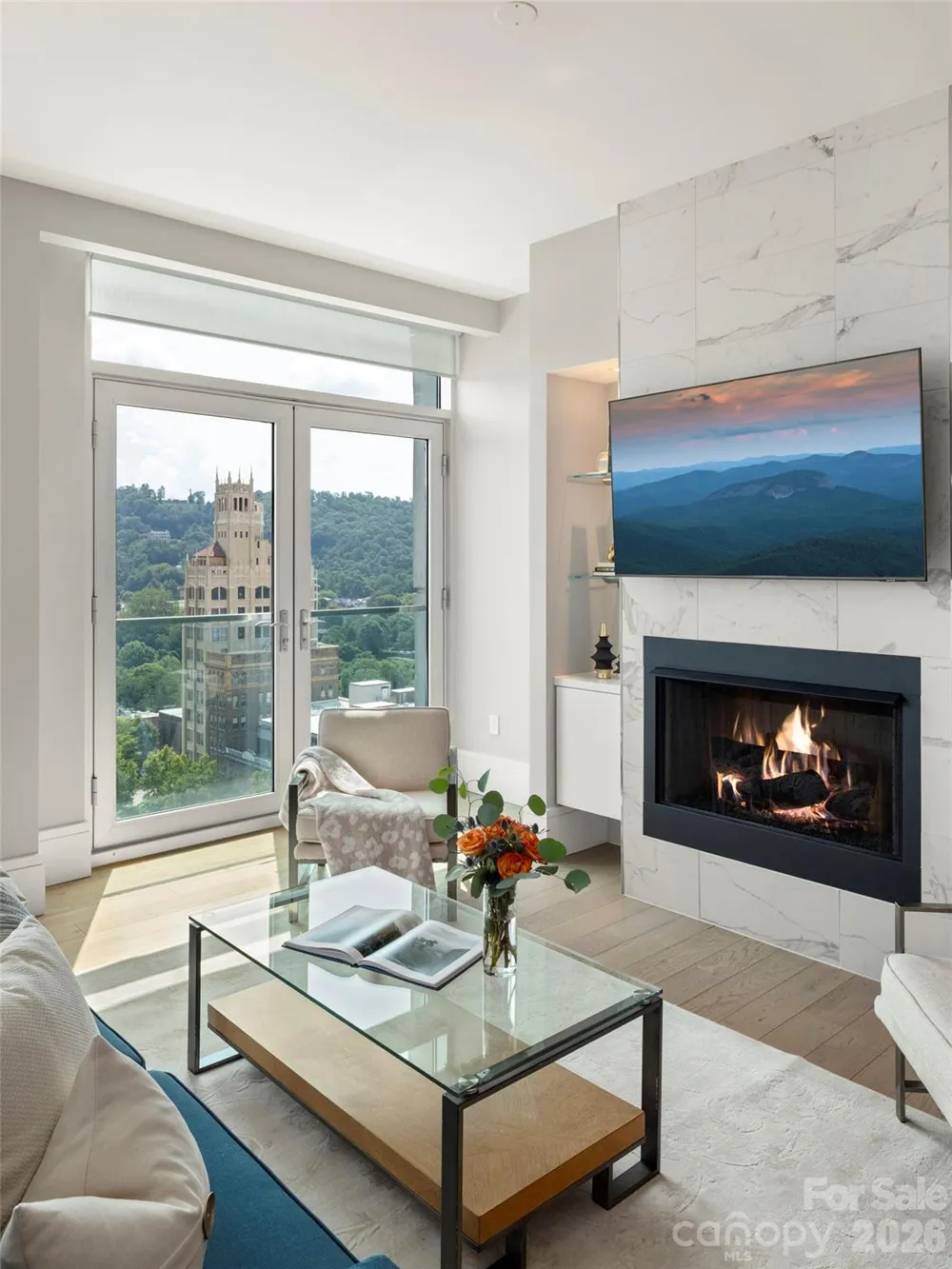 7 Patton Avenue #1104 Asheville, NC 28801