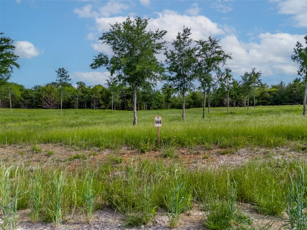 398 Timberland Heights Windom, TX 75492
