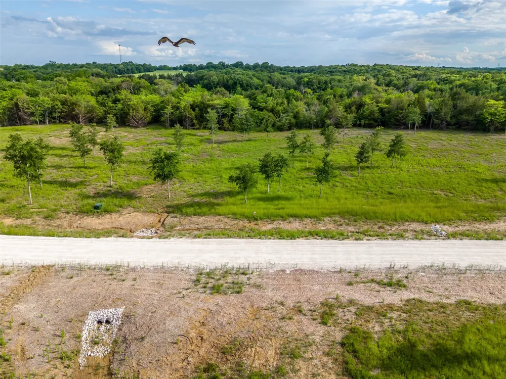398 Timberland Heights Windom, TX 75492