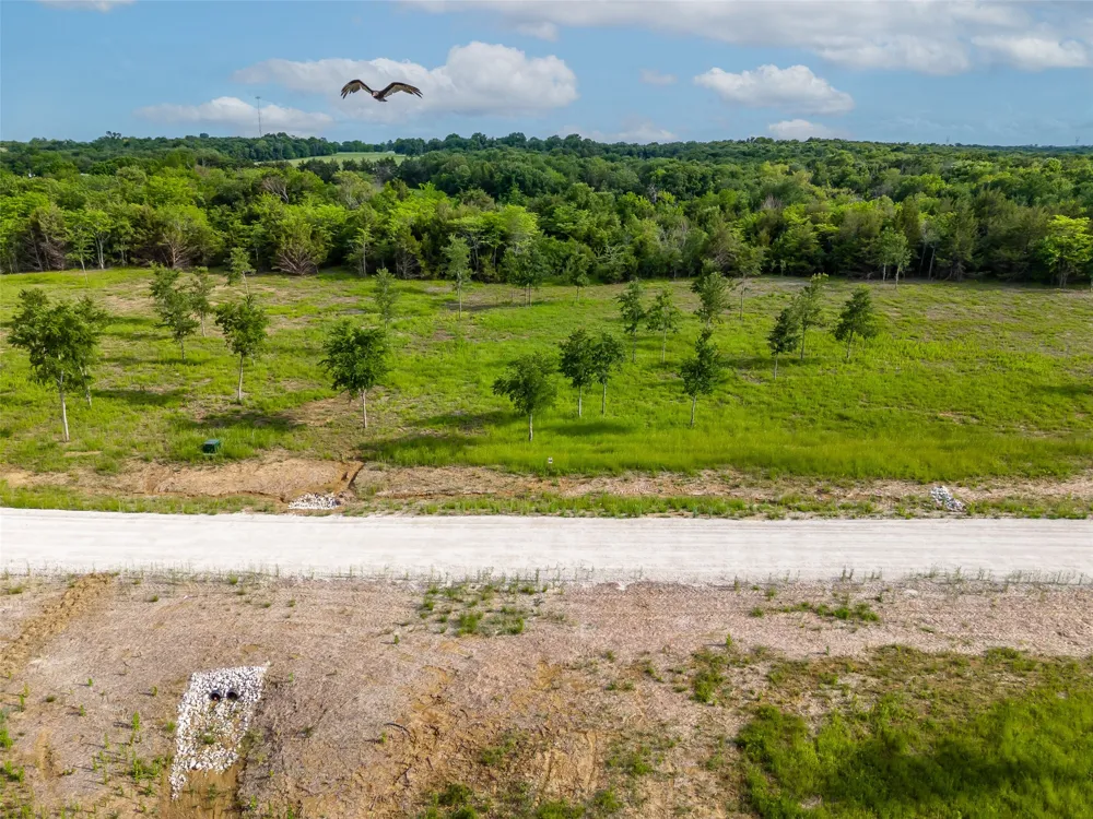 398 Timberland Heights Windom, TX 75492