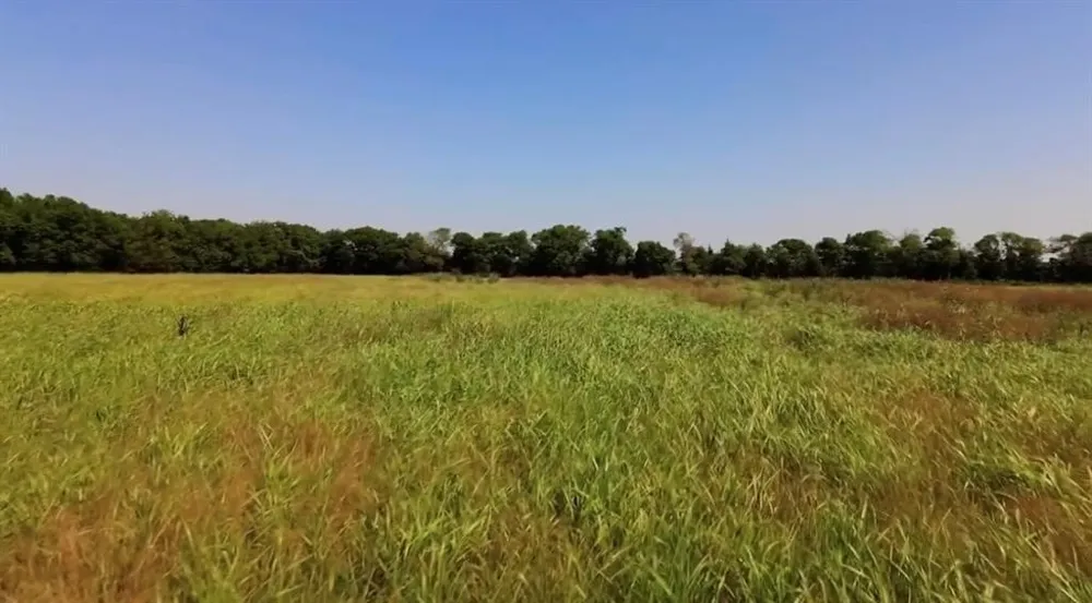 4611 Stout Road Midlothian, TX 76065