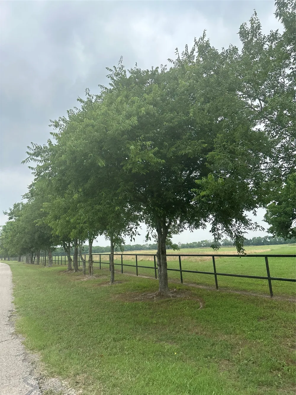 4611 Stout Road Midlothian, TX 76065