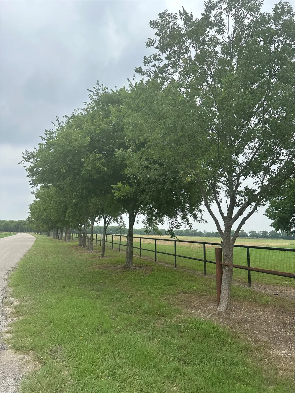 4611 Stout Road Midlothian, TX 76065