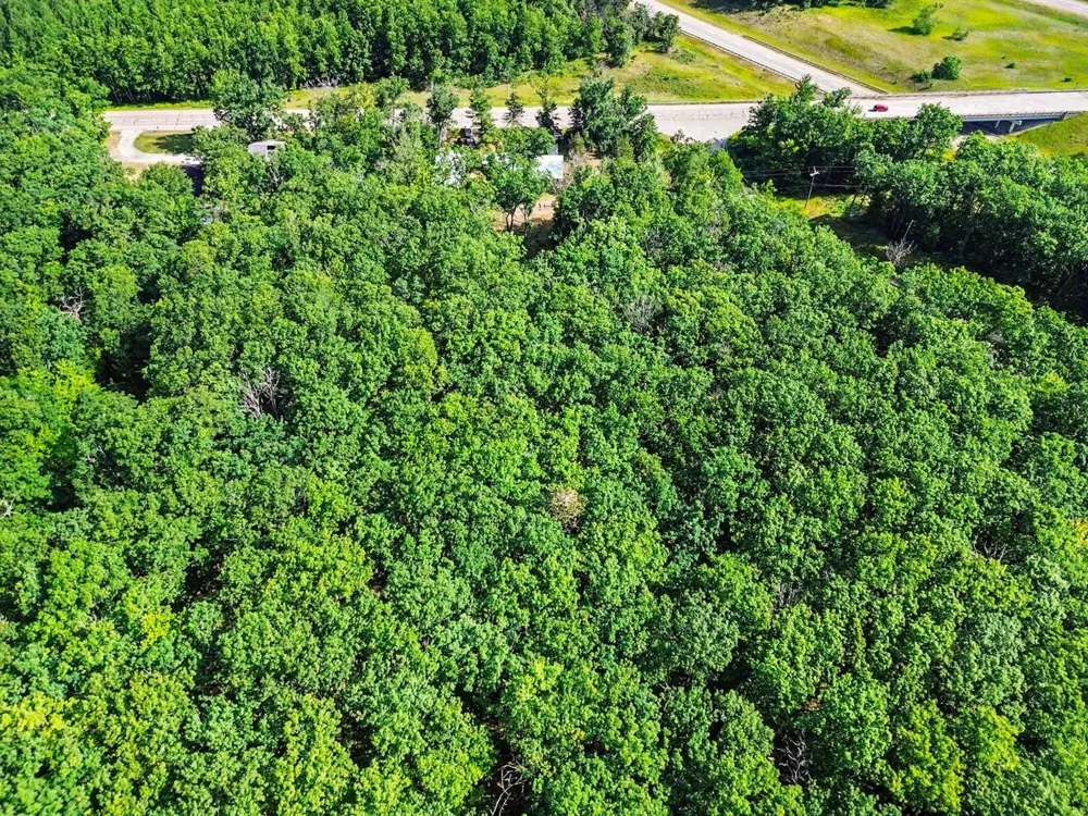 1799 W Sunset Drive Roscommon, MI 48653