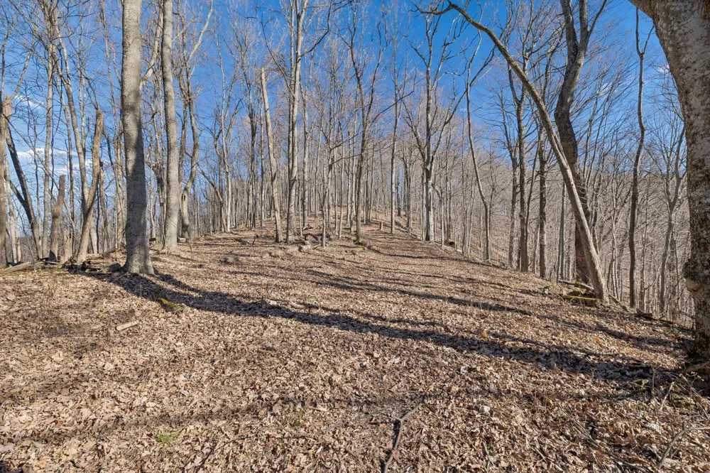 215 Hickman Creek Road S Hickman, TN 38567