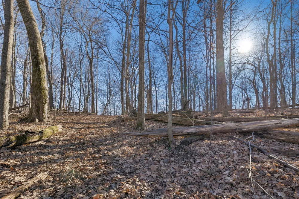 215 Hickman Creek Road S Hickman, TN 38567