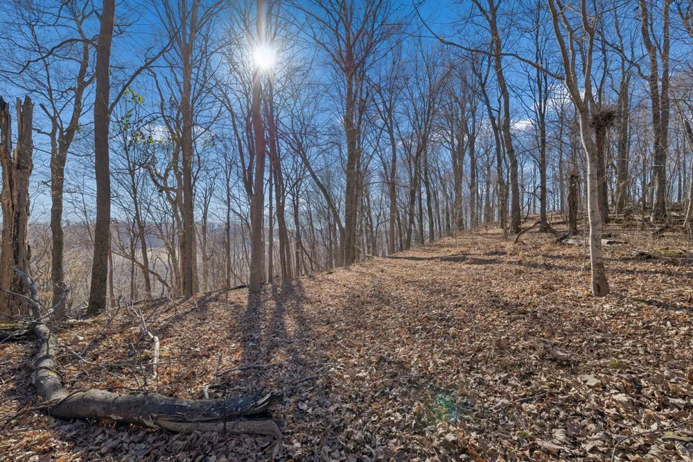 215 Hickman Creek Road S Hickman, TN 38567