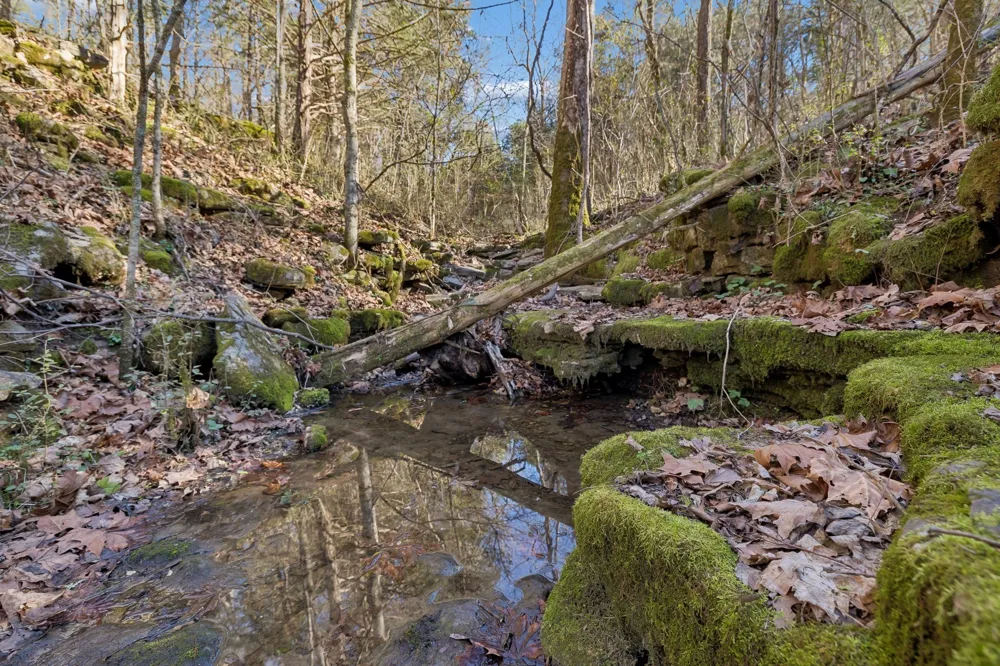 215 Hickman Creek Road S Hickman, TN 38567