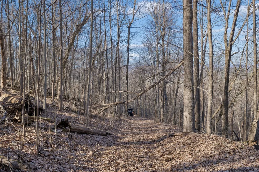 215 Hickman Creek Road S Hickman, TN 38567