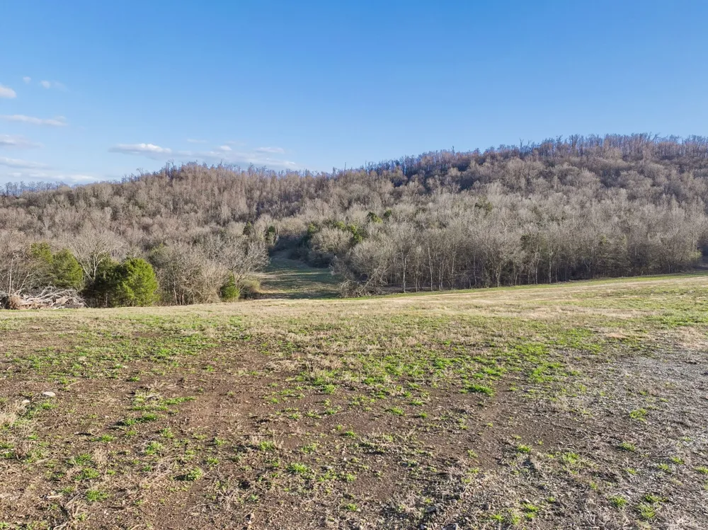 215 Hickman Creek Road S Hickman, TN 38567