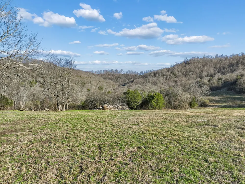 215 Hickman Creek Road S Hickman, TN 38567
