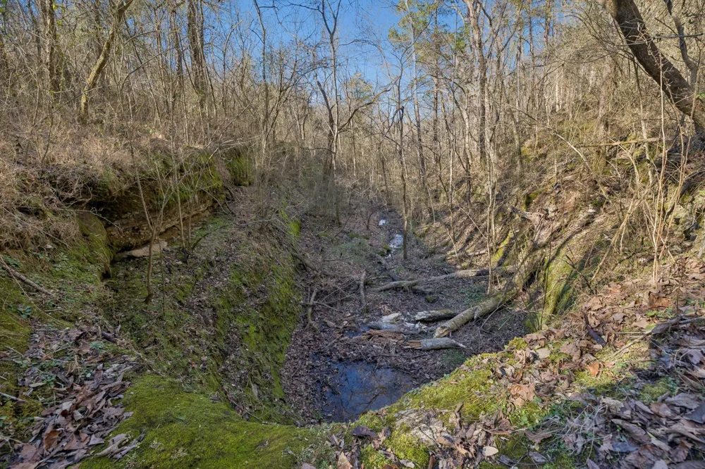 215 Hickman Creek Road S Hickman, TN 38567