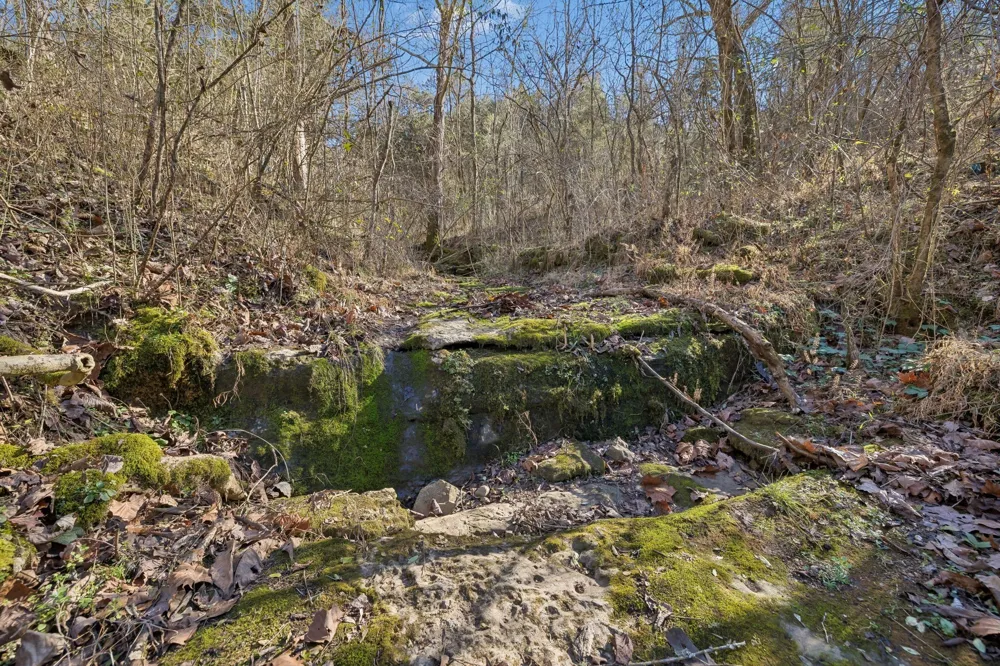 215 Hickman Creek Road S Hickman, TN 38567