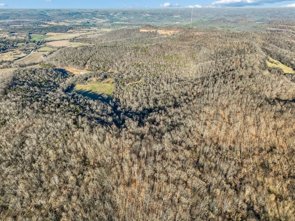215 Hickman Creek Road S Hickman, TN 38567