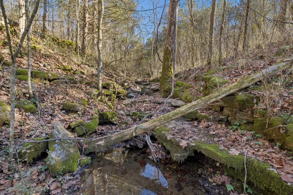 215 Hickman Creek Road S Hickman, TN 38567