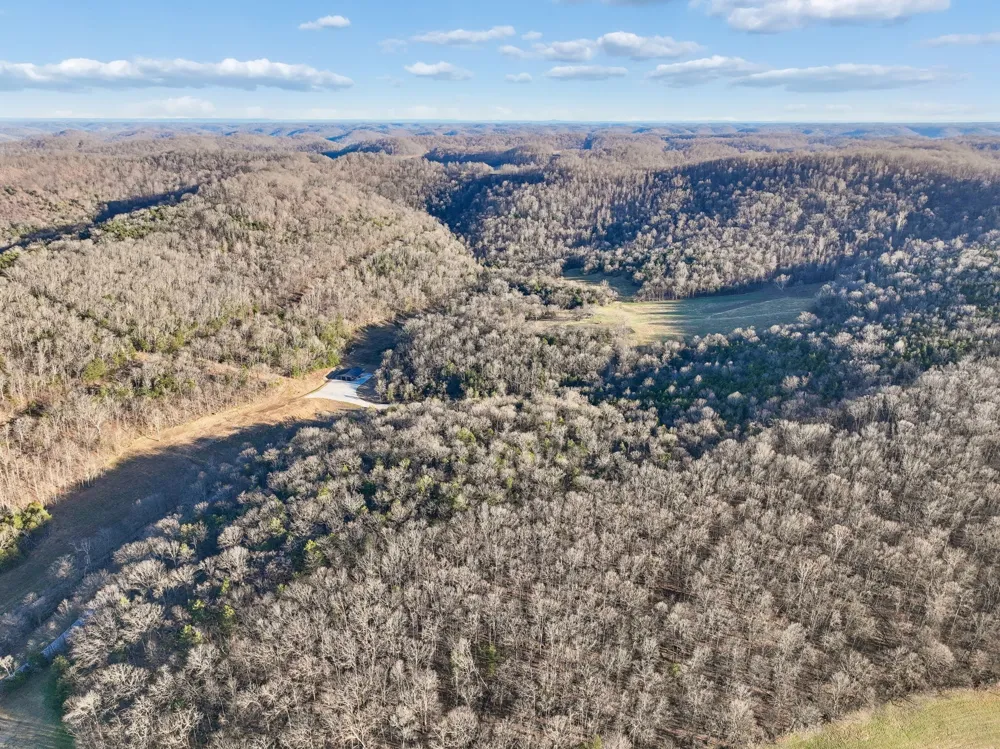 215 Hickman Creek Road S Hickman, TN 38567