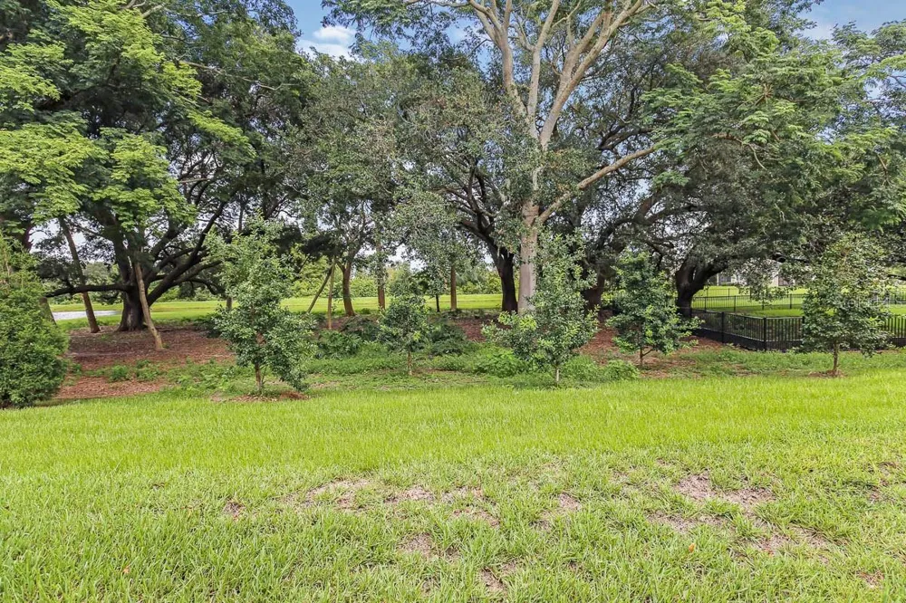 10232 NEWEL VALLEY LOOP Riverview, FL 33569