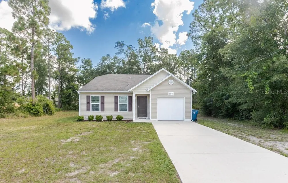 12307 MILLINGTON AVENUE Weeki Wachee, FL 34614