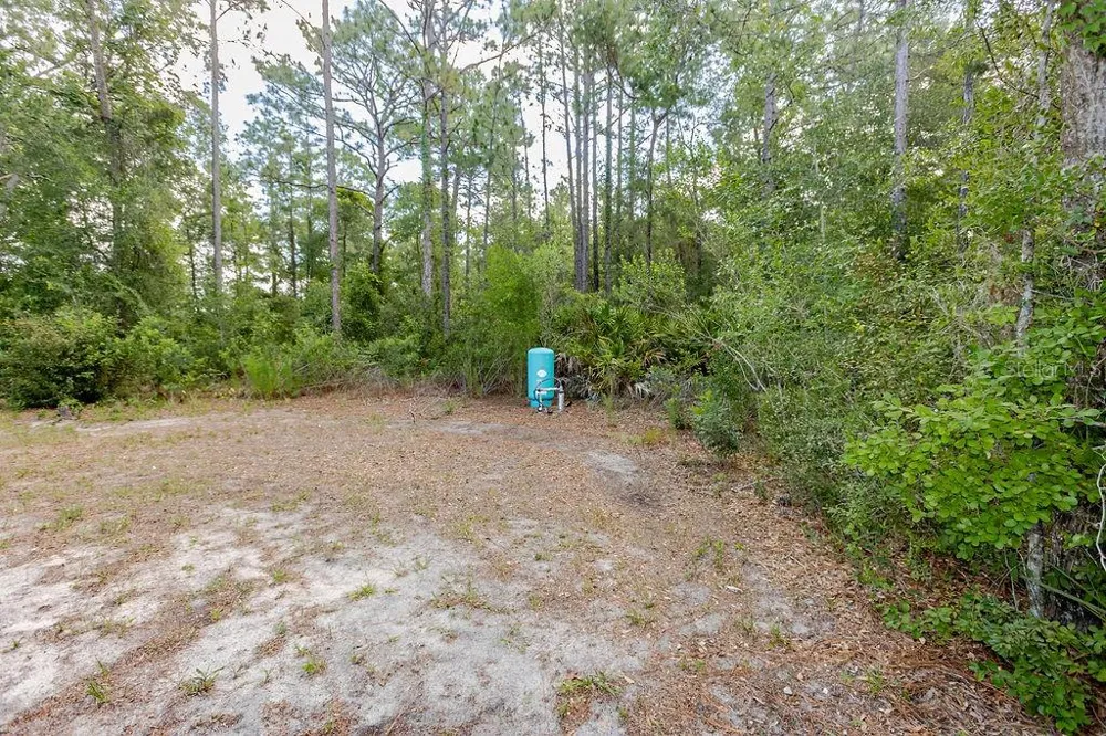12307 MILLINGTON AVENUE Weeki Wachee, FL 34614