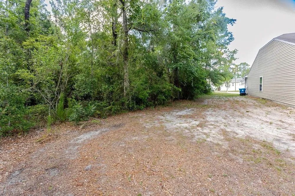 12307 MILLINGTON AVENUE Weeki Wachee, FL 34614