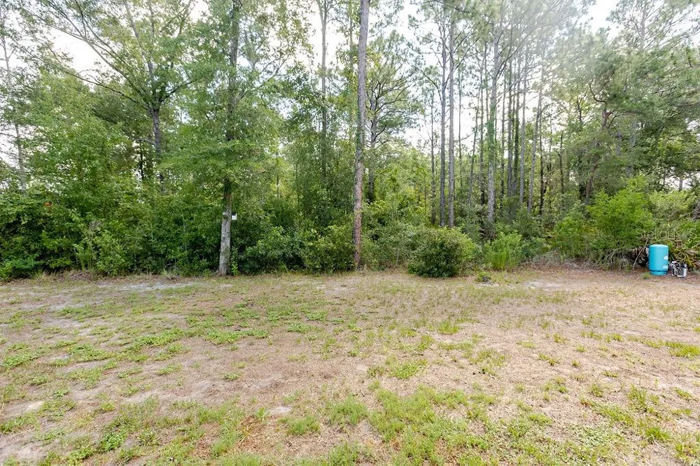 12307 MILLINGTON AVENUE Weeki Wachee, FL 34614