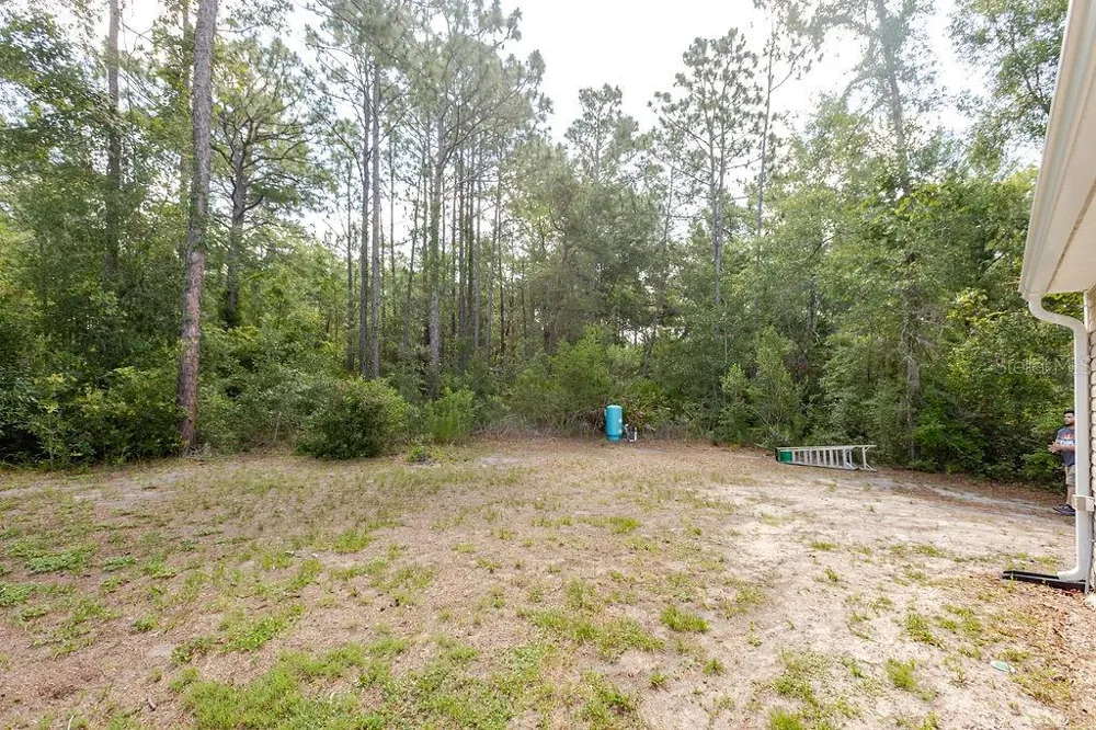 12307 MILLINGTON AVENUE Weeki Wachee, FL 34614