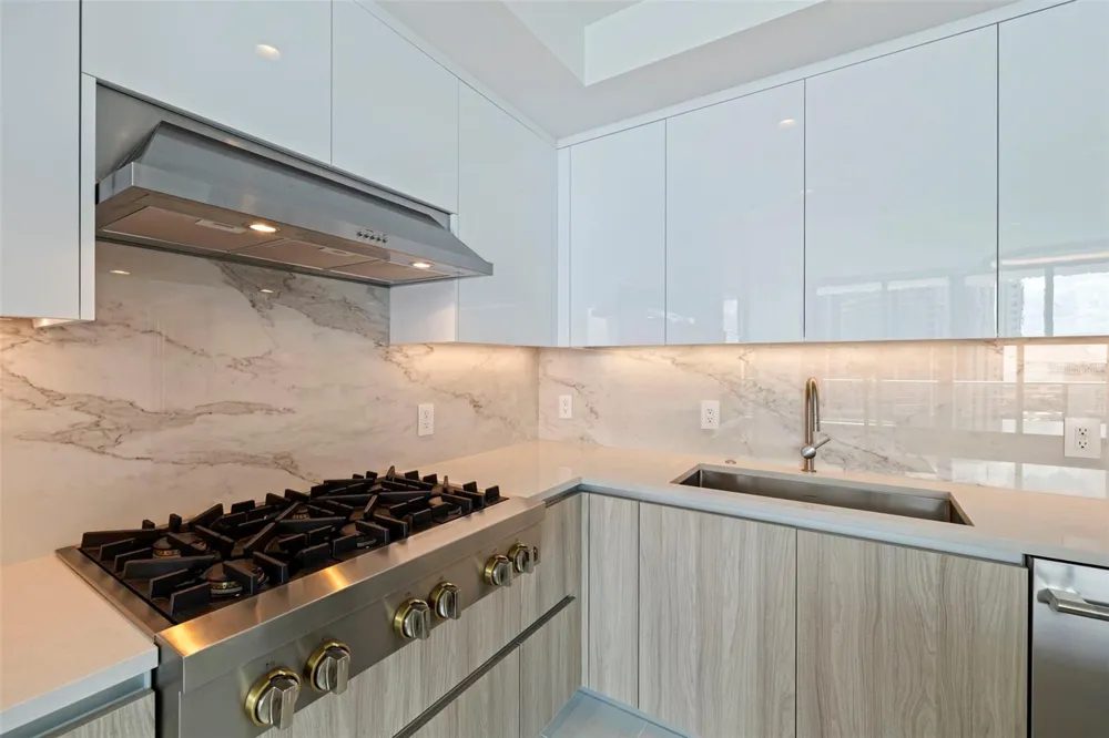 400 CENTRAL AVENUE #1105 St Petersburg, FL 33701
