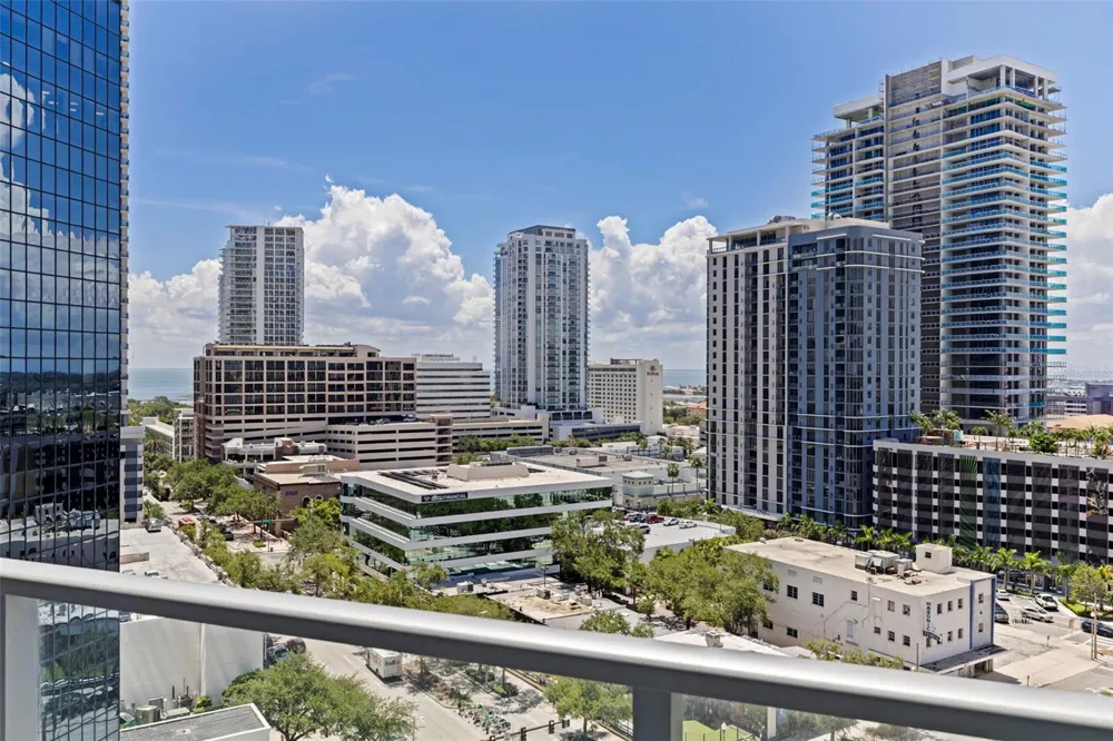400 CENTRAL AVENUE #1105 St Petersburg, FL 33701