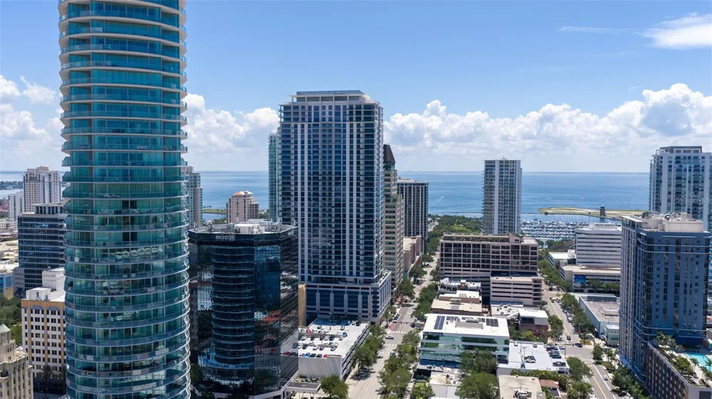 400 CENTRAL AVENUE #1105 St Petersburg, FL 33701