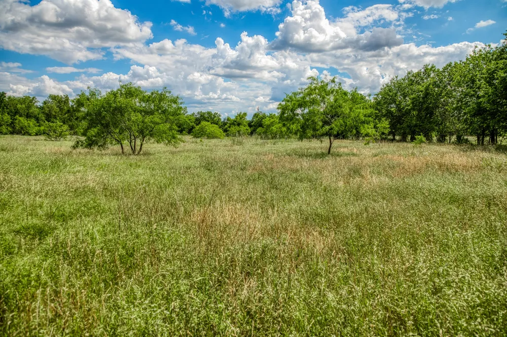 O'Neal Street Caldwell, TX 77836