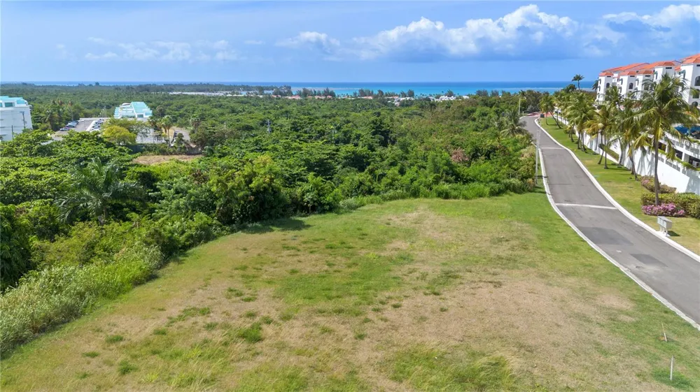 62 LAS VISTAS Rio Grande, PR 00745