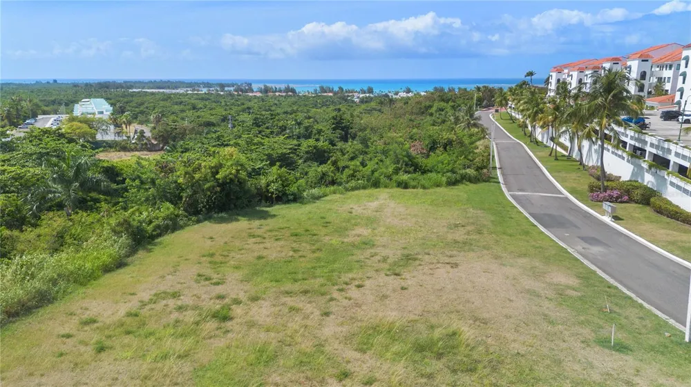 62 LAS VISTAS Rio Grande, PR 00745