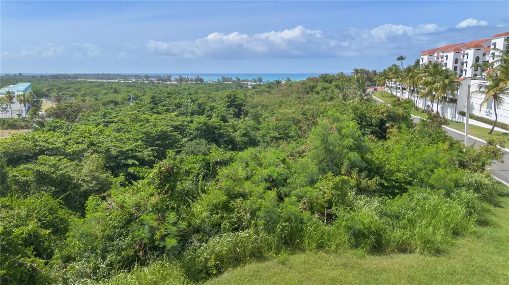 62 LAS VISTAS Rio Grande, PR 00745