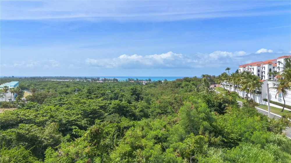 62 LAS VISTAS Rio Grande, PR 00745