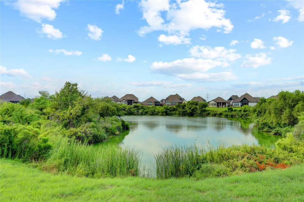 1009 Tackett Court Webster, TX 77598