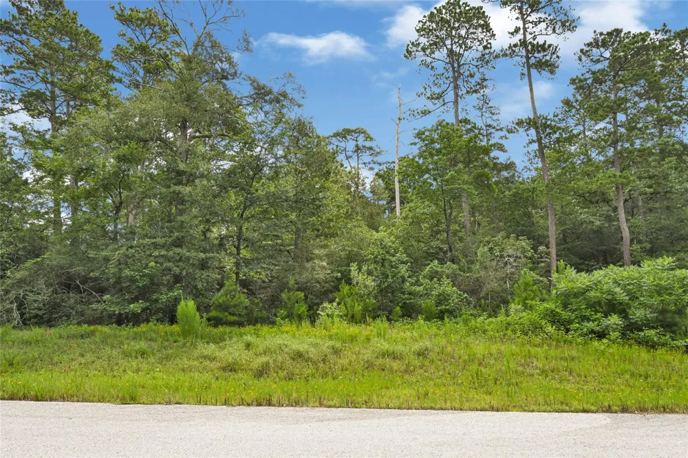 177 Brahman Lane Huntsville, TX 77340