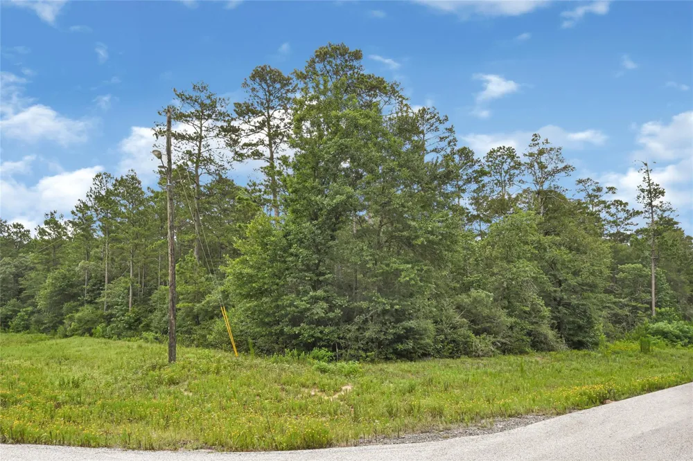 177 Brahman Lane Huntsville, TX 77340