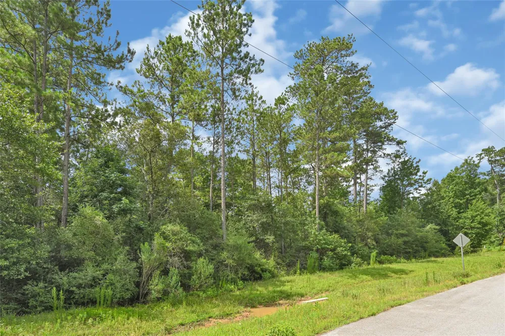 177 Brahman Lane Huntsville, TX 77340